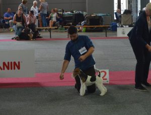 14202536_582642935253977_4887487785328439197_n